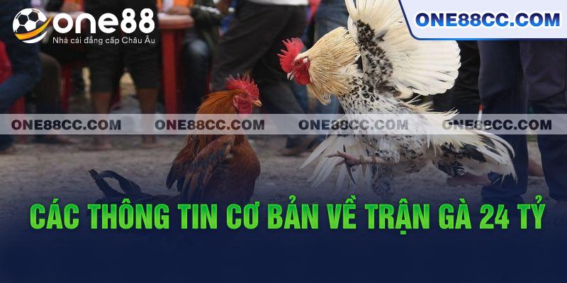 Các thông tin cơ bản về trận gà 24 tỷ