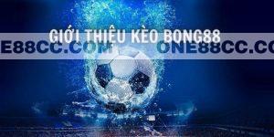 Kèo Bong88 là gì? Chia sẻ các loại cược phổ biến dễ ăn tiền